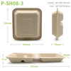 Pâte de canne à sucre biodégradable (P-SH08) 8' avec compartiment unique